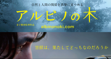 アルビノの木